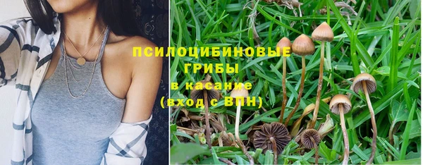ешки Вязники