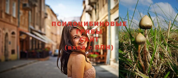 ешки Вязники