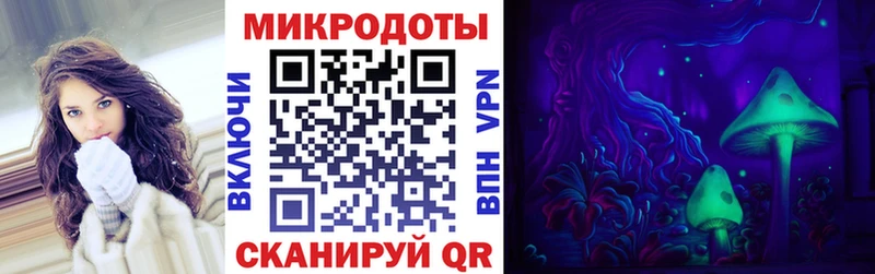 Галлюциногенные грибы Psilocybe  Гусиноозёрск 